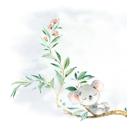 Geboortekaart jongen koala in boom 2