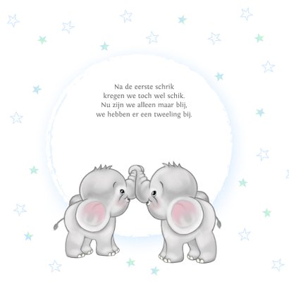 Geboortekaart jongen-tweeling olifantjes 2