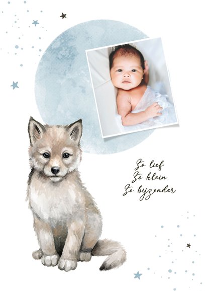 Geboortekaart jongen wolf sterretjes maan waterverf lief 2