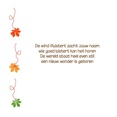 Geboortekaart kastanje jongen 2