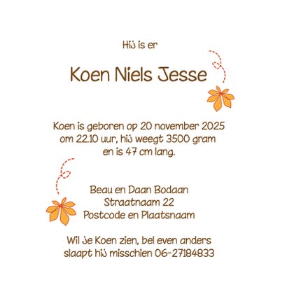 Geboortekaart kastanje jongen 3