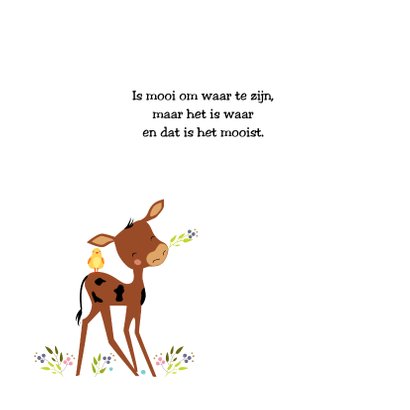 Geboortekaart klein kalfje 2