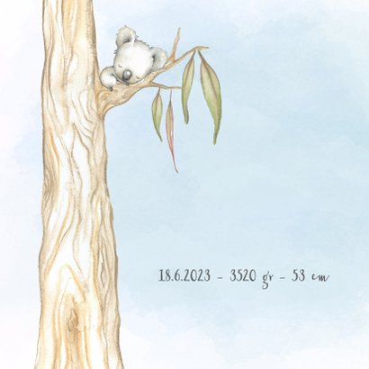 Geboortekaart koala-beer jongen 2