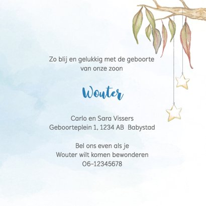 Geboortekaart koala-beer jongen 3