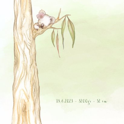 Geboortekaart koala-beer meisje 2