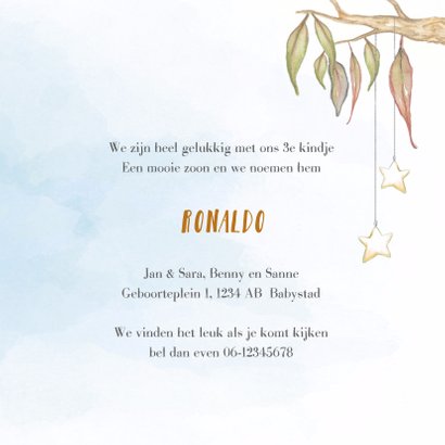 Geboortekaart koala-jongen met broertje en/of zusje 3
