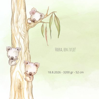 Geboortekaart koala-meisje met broertje en/of zusje 2