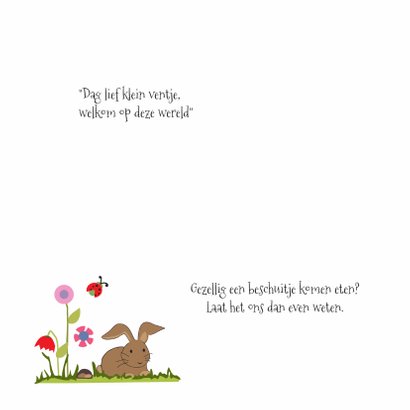 Geboortekaart konijn en molletje 2