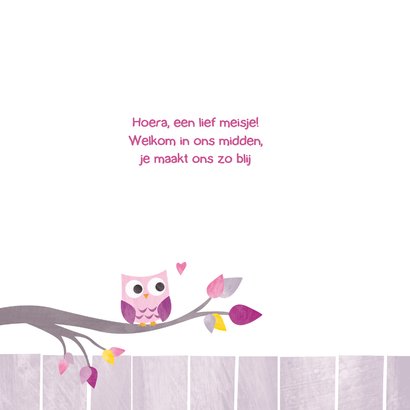 Geboortekaart lieve uil in boom 2