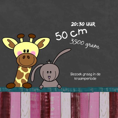 Geboortekaart meisje dieren HB 2