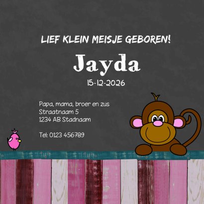 Geboortekaart meisje dieren HB 3