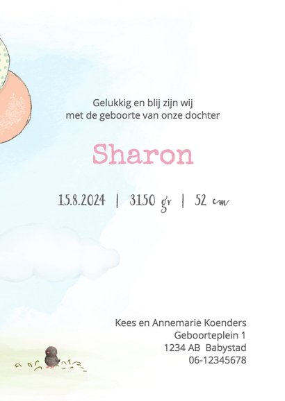 Geboortekaart meisje, kitten en ballonnen 3