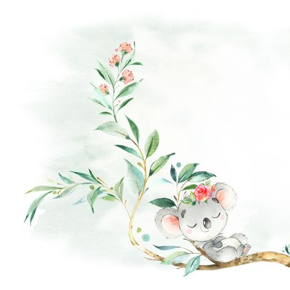 Geboortekaart meisje koala met bloem 2