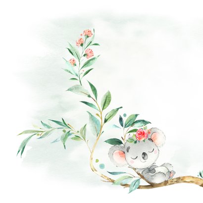 Geboortekaart meisje koala met bloem 2