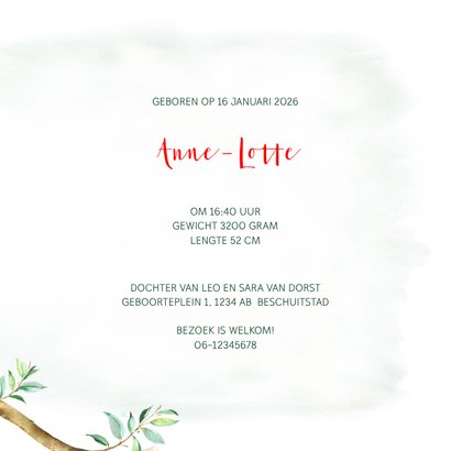 Geboortekaart meisje koala met bloem 3