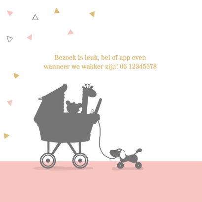 Geboortekaart meisje met kinderwagen av 2