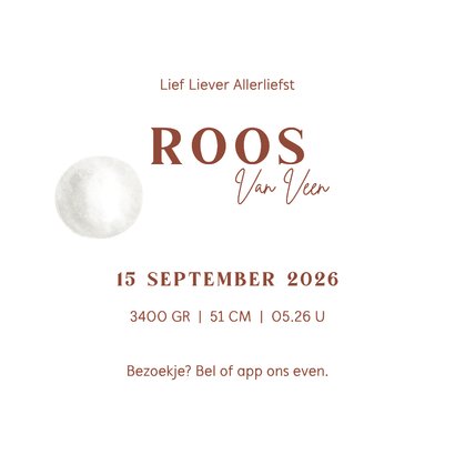 Geboortekaart meisje ooievaar bij maan 3