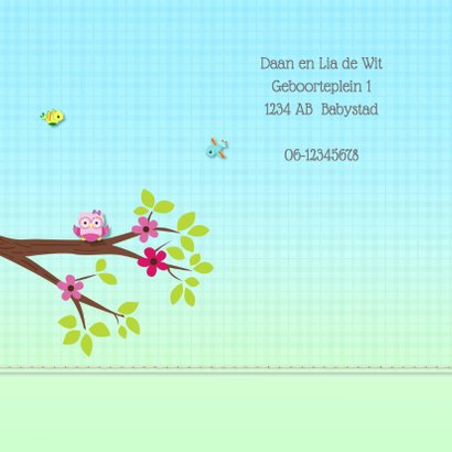 Geboortekaart meisje-uil 2