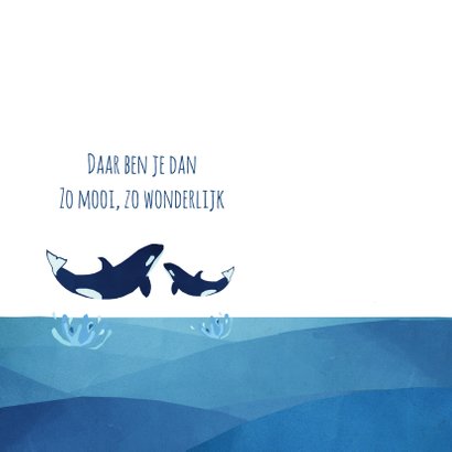 Geboortekaart met Baby Orka 2