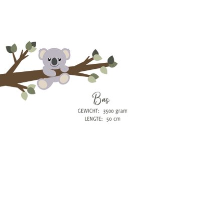 Geboortekaart met een lief ontwerp van een aapje en koala 2