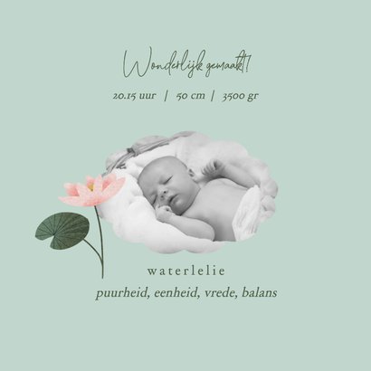 Geboortekaart met geboortebloem juli: waterlelie 2