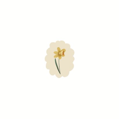Geboortekaart met geboortebloem van maart: narcis Achterkant