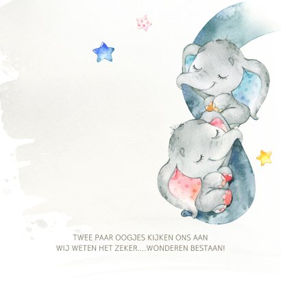 Geboortekaart met olifant tweeling j/m 2