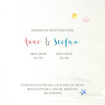 Geboortekaart met olifant tweeling j/m  3