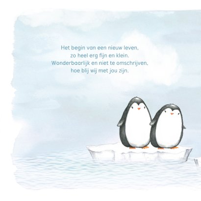 Geboortekaart met pinguin op ijsschots 2