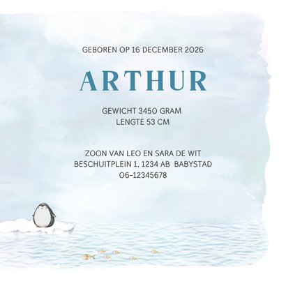 Geboortekaart met pinguin op ijsschots 3
