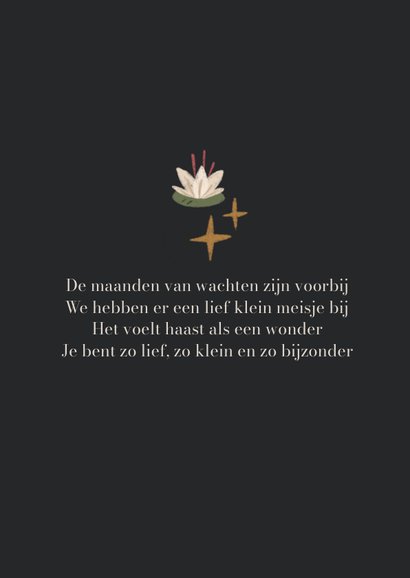 Geboortekaart mystiek zwanenmeer 2