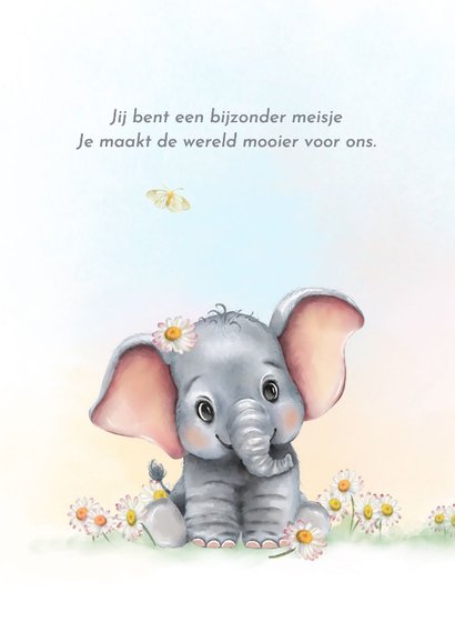 Geboortekaart olifantje met vlindertjes 2