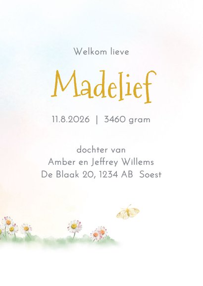 Geboortekaart olifantje met vlindertjes 3