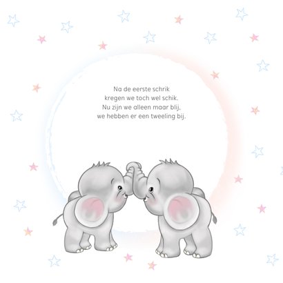 Geboortekaart olifantjes jongen en meisje tweeling 2