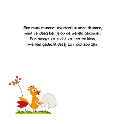 Geboortekaart onder eierschaal 2