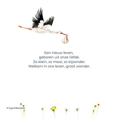 Geboortekaart ooievaar met lieve baby 2