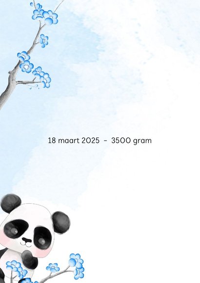 Geboortekaart panda met kersenbloesem -jongen- 2