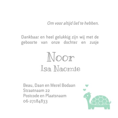 Geboortekaart schildpad familie 3