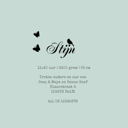 Geboortekaart silhouet broertjes av 3