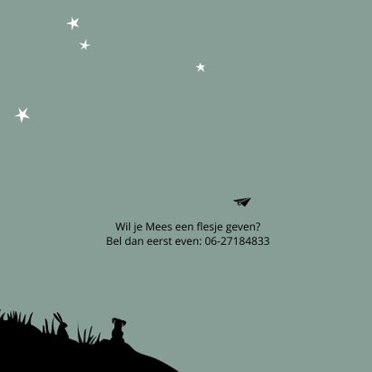 Geboortekaart silhouet vliegtuigje gooien 2