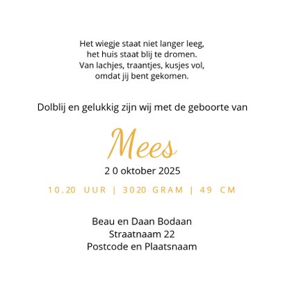 Geboortekaart silhouet vliegtuigje gooien 3