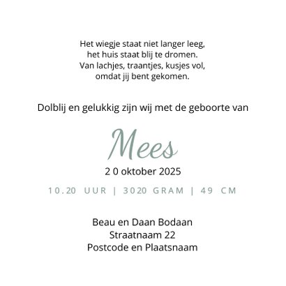 Geboortekaart silhouet vliegtuigje gooien 3