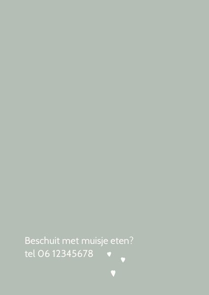 Geboortekaart Silhouet zus groen 2
