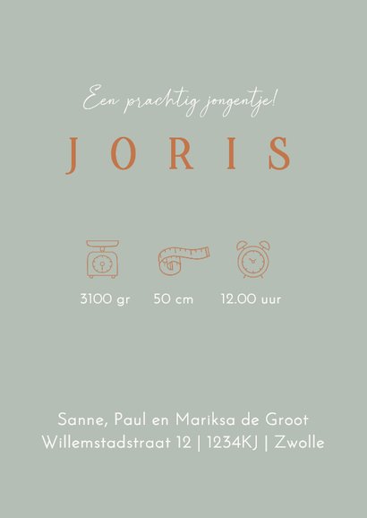 Geboortekaart Silhouet zus groen 3