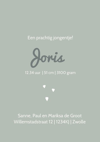 Geboortekaart Silhouet zus groen 3