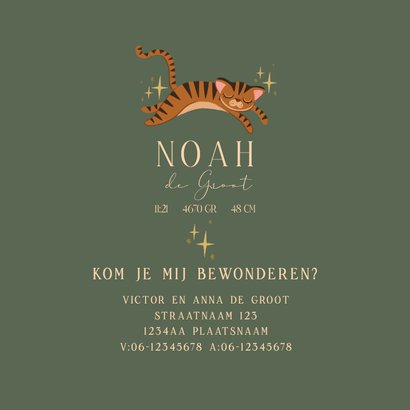 Geboortekaart slapend tijgertje 3