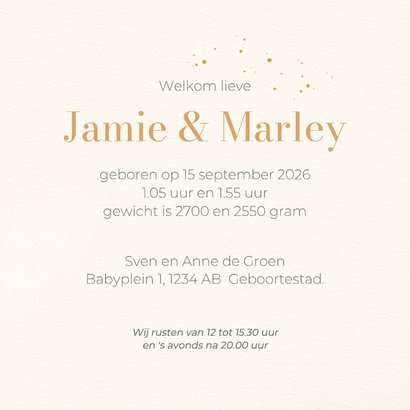 Geboortekaart tweelinggiraf met foto 3