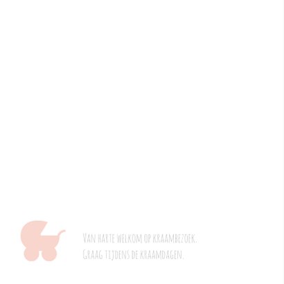 Geboortekaart typografie roze-BC 2