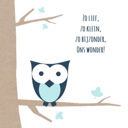 Geboortekaart uil kraft blauw 2