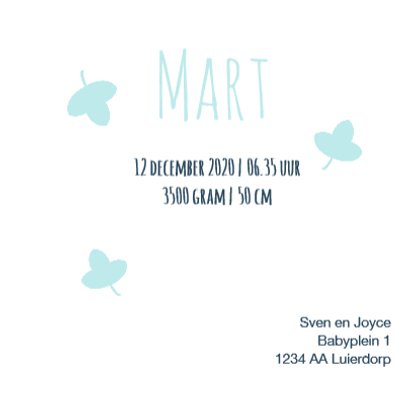 Geboortekaart uil kraft blauw 3